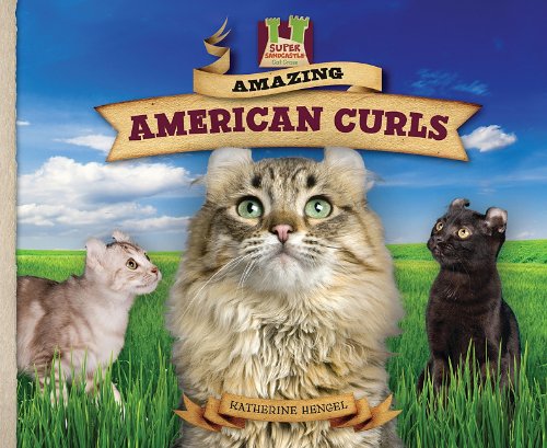 Amazing American Curls by Katherine Hengel