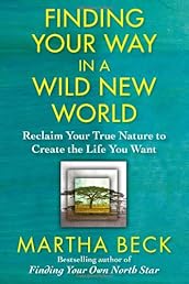 Finding Your Way in a Wild New World: Reclaim Your True Nature to Create the Life You Want