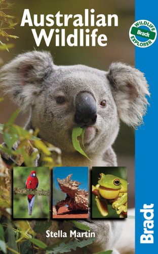 Australian Wildlife: Wildlife Explorer by Stella Martin