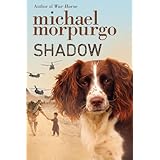 Shadow