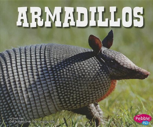 Armadillos by Steve Potts