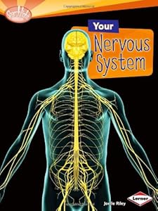 Your Nervous System