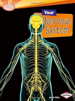 Your Nervous System