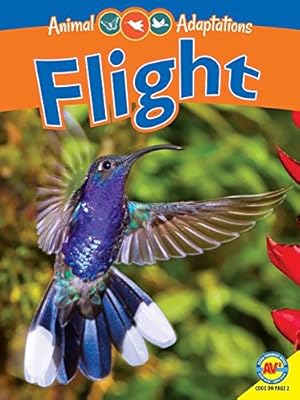 Flight