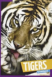 Tigers
