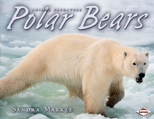 Polar Bears by Sandra Markle