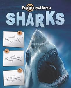 Sharks: Drawing and Reading