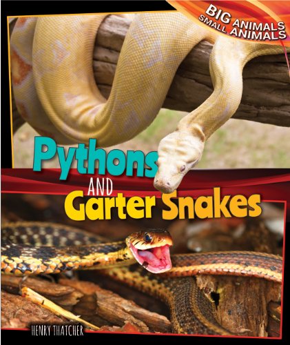 Pythons and Garter Snakes by Henry Thatcher