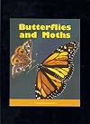 Butterflies And Moths