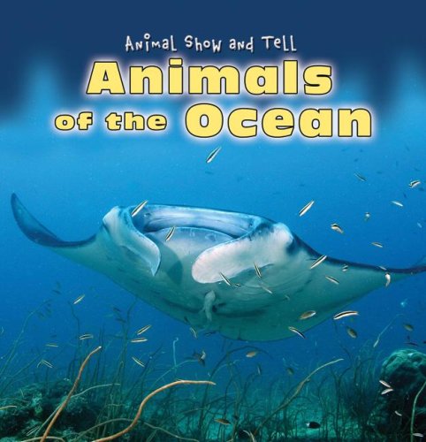Animals of the Ocean (Animal Show and Tell) by Kathleen Pohl