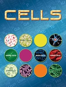Cells