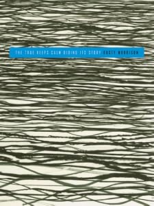 the true keeps calm biding its story (Sawtooth Poetry Prize Series 2007)