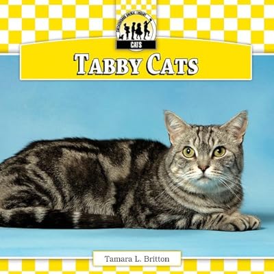 Tabby Cats