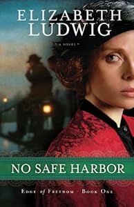 No Safe Harbor (Edge of Freedom Book #1)