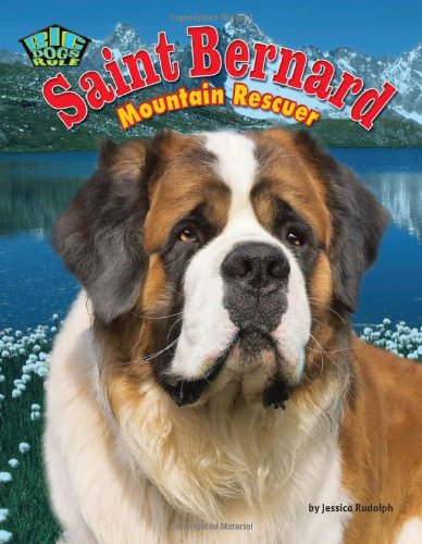 Saint Bernard: Mountain Rescuer by Jessica Rudolph