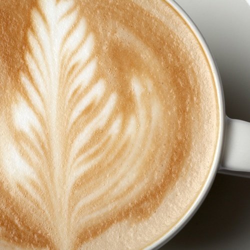 Nicaragua Maragogype Kaffee-Mischung 500 g ungemahlen