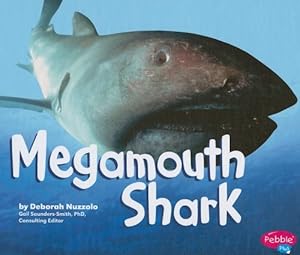 Megamouth Shark