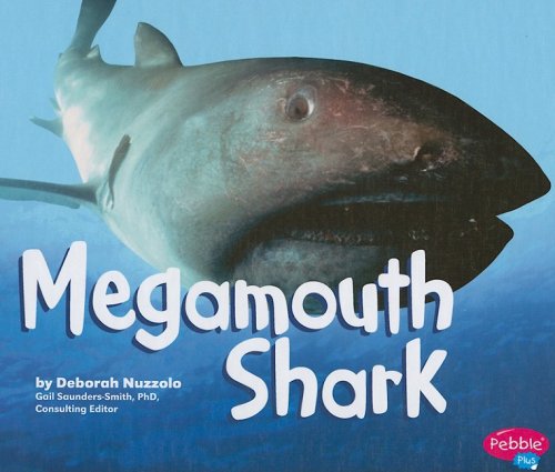 Megamouth Shark by Deborah Nuzzolo