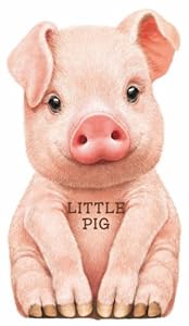 Little Pig (Look at Me Books (Barron's))