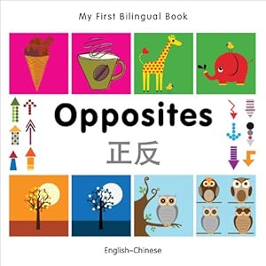 My First Bilingual Book-Opposites