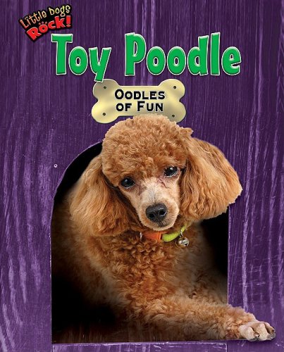 Toy Poodle: Oodles of Fun by Meish Goldish