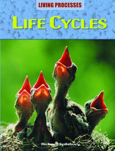 Life Cycles by Richard Spilsbury