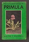 The cultivated species of primula