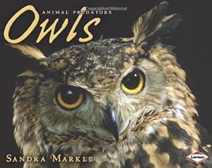 Owls (Animal Predators)
