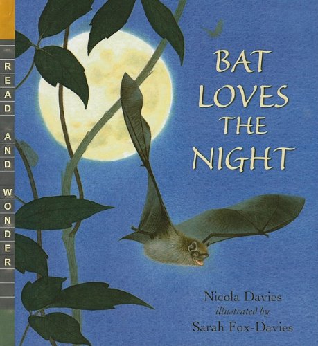 Bat Loves the Night