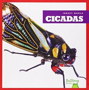 Cicadas
