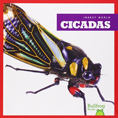 Cicadas by Mari Schuh