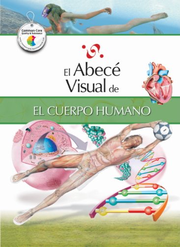 El abec&eacute; visual del cuerpo humano by Santillana