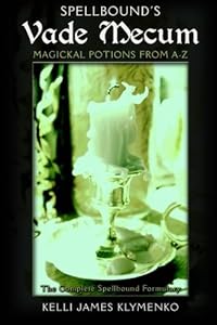 Vade Mecum by Kelli James Klymenko