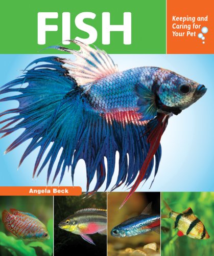 Fish by Angela Beck