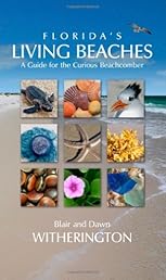Florida's Living Beaches: A Guide for the Curious Beachcomber