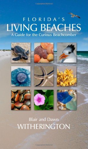 Florida's Living Beaches: A Guide for the Curious Beachcomber by Blair Witherington