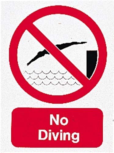 Algopix Similar Product 4 - Water Sports No Diving Sign Pool Dive