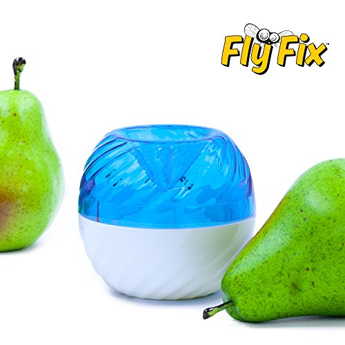 FlyFix Fruit Fly Trap (Reusable) (1, Blue/White)