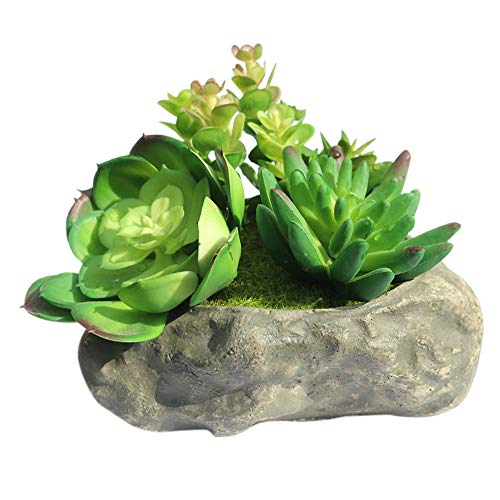 Algopix Similar Product 9 - 