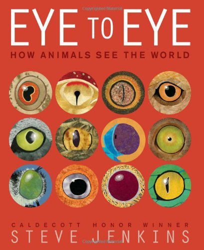 Eye to Eye