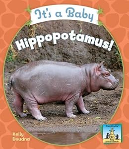 It's a Baby Hippopotamus! (Sandcastle: Baby African Animals)
