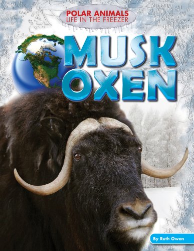 Musk Oxen (Polar Animals: Life in the Freezer) by Ruth Owen