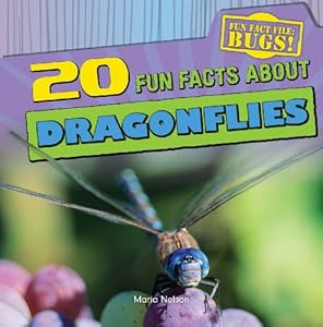 20 Fun Facts about Dragonflies