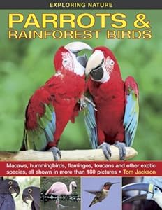 Exploring Nature: Parrots &amp; Rainforest Birds: Macaws, Hummingbirds, Flamingos, Toucans And Other Exotic Species, All Shown In More Than 180 Pictures