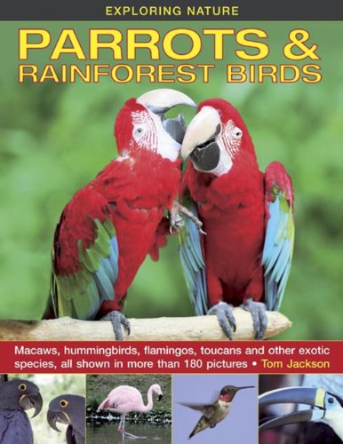 Exploring Nature: Parrots &amp; Rainforest Birds: Macaws, Hummingbirds, Flamingos, Toucans And Other Exotic Species, All Shown In More Than 180 Pictures by Tom Jackson