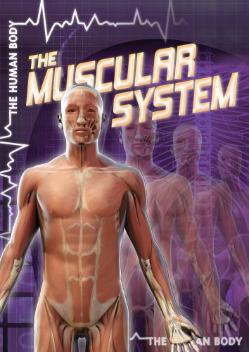The Muscular System by Greg Roza