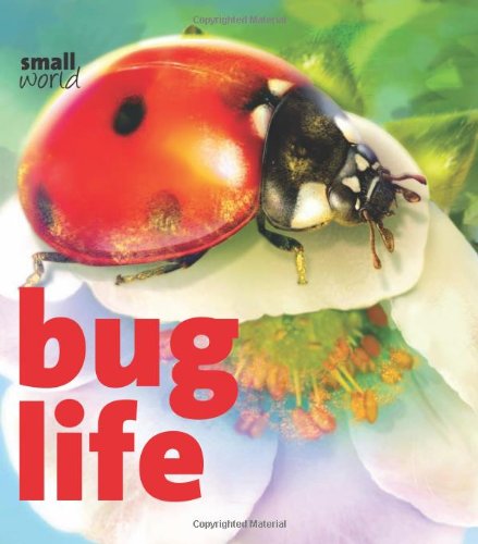 Bug Life by Lynette Evans  ,