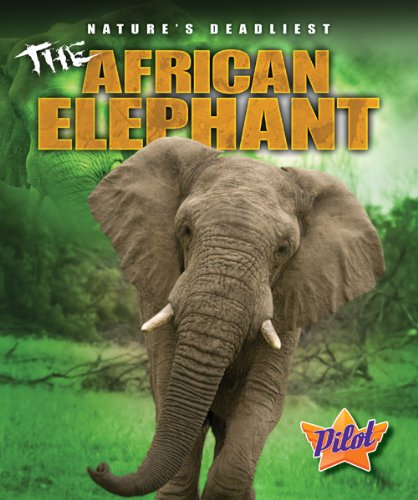 The African Elephant by Colleen Sexton