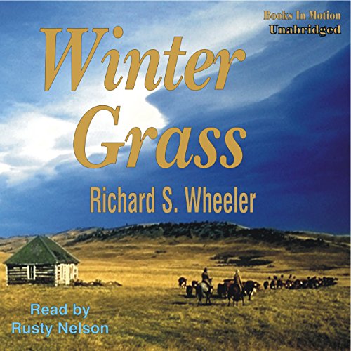 Winter Grass by Richard S Wheeler
