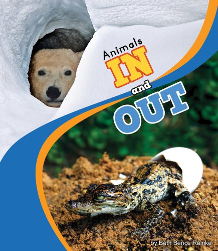 Animals In and Out by Beth Bence Reinke